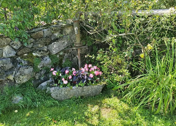 Mirjam ゲストハウス